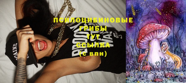 ПСИЛОЦИБИНОВЫЕ ГРИБЫ Беломорск