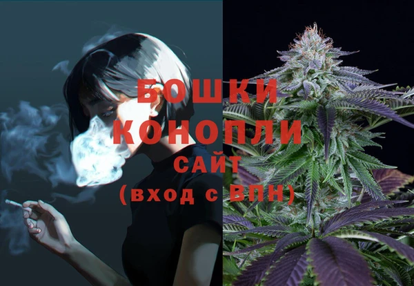 ПСИЛОЦИБИНОВЫЕ ГРИБЫ Беломорск