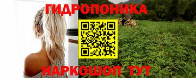 сатива Беслан