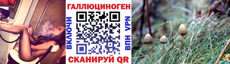ОМГ ОМГ рабочий сайт  Благодарный  Псилоцибиновые грибы ЛСД 