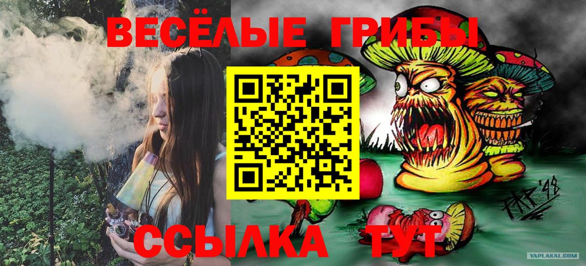 Псилоцибиновые грибы ЛСД Благодарный